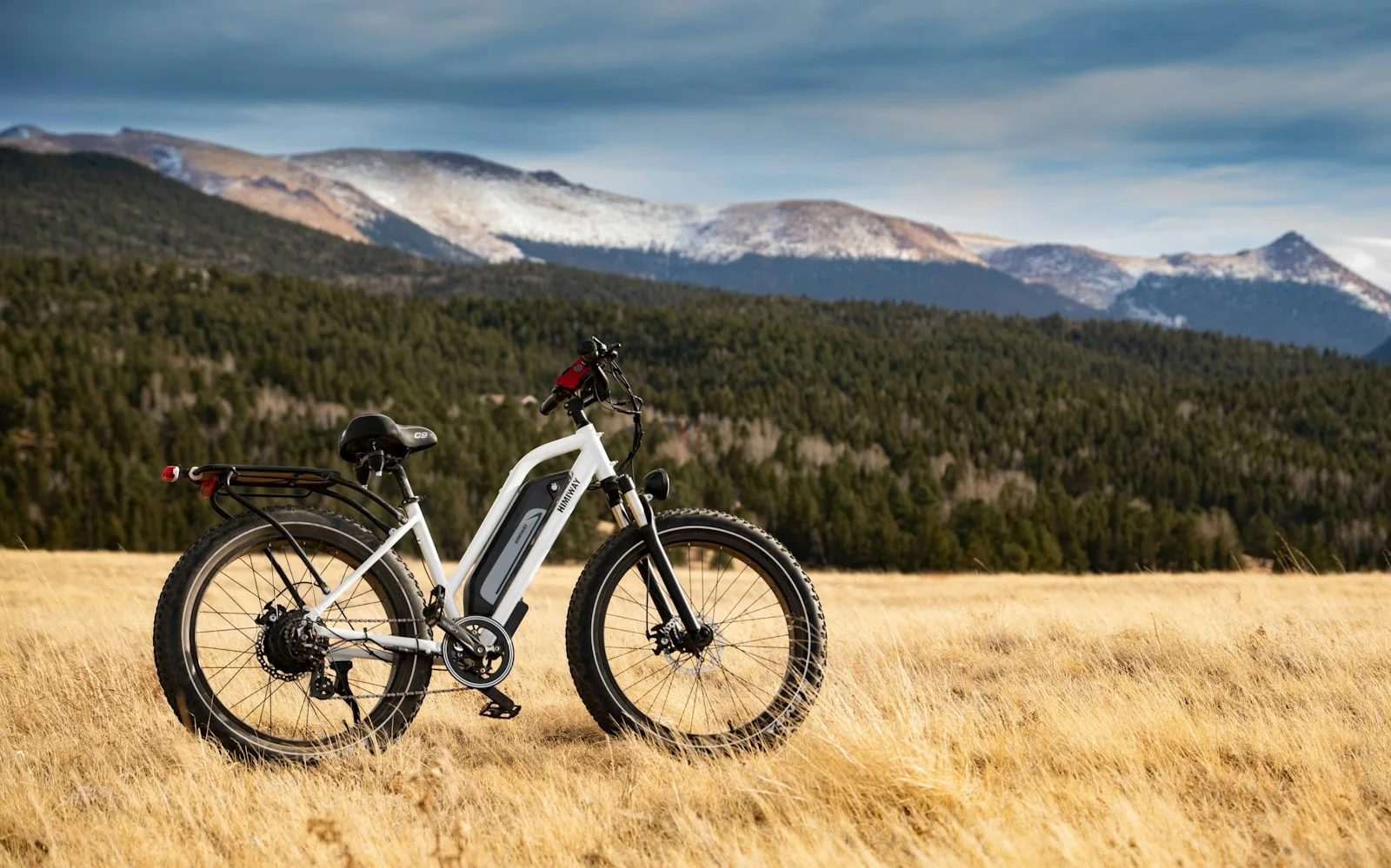 E-Bike, Beispielbild